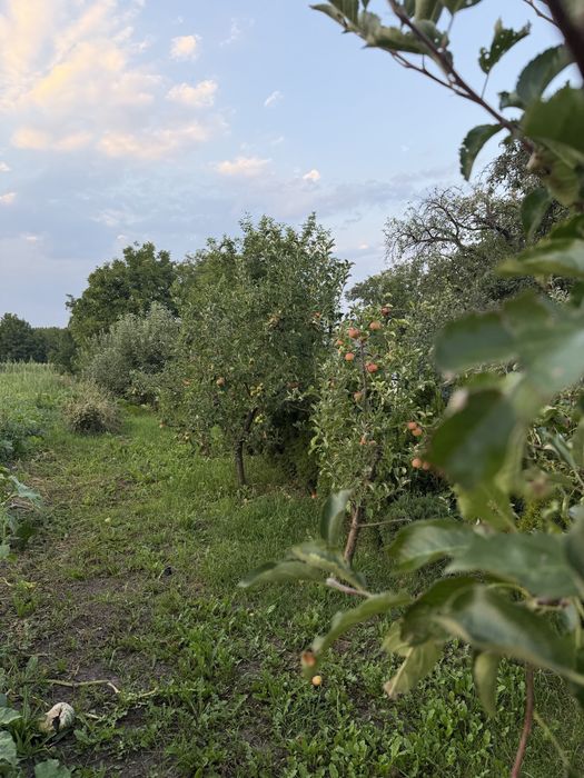 Продам будинок в селі