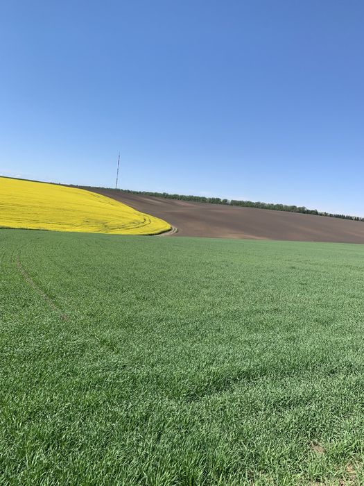 Панорамна земельна ділянка поблизу Тернополя