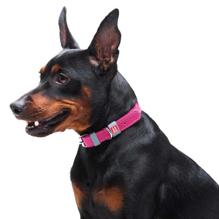NOVO - Trela em Pele WAUDOG Classic