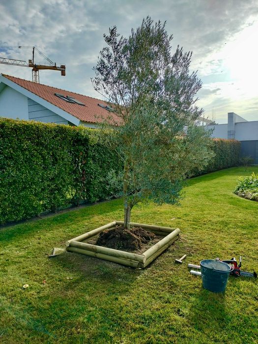 Jardinagem e Construção de Jardins - Oliveden Jardins