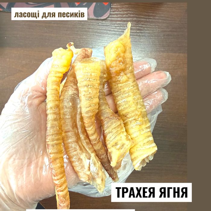 НАТУРАЛЬНІ ЛАСОЩІ для песиків. ТМ СВІЖИНА. Власне виробництво