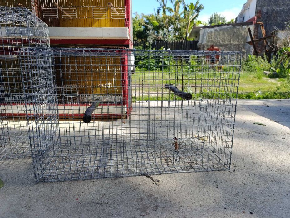 Gaiolas para aves