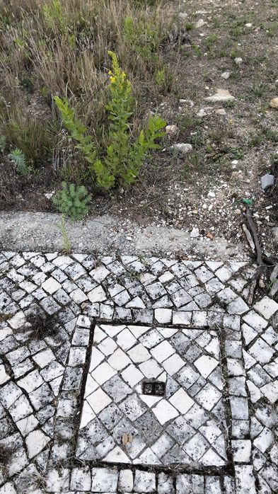 Terreno para construção loteado Bustelo, Oliveira de  Azeméis