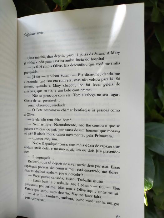 O Solitário (Faith Baldwin)