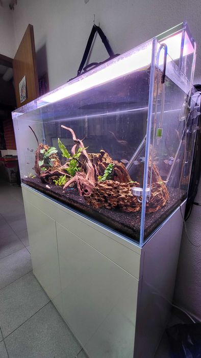 AQUARIO completo 90cm Signature