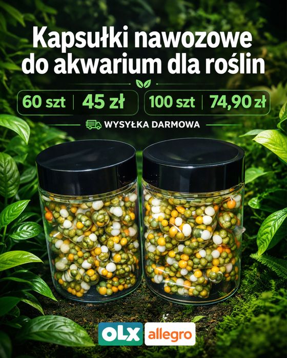 Kapsułki nawozowe do akwarium 60 sztuk