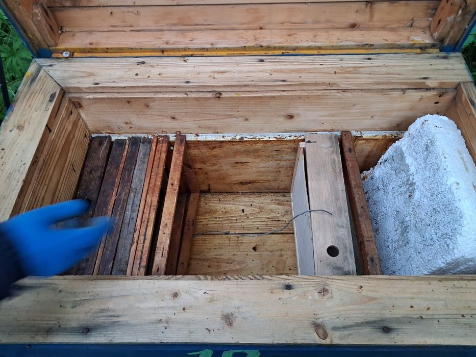 Ule wielkopolskie leżaki 18 ramkowe