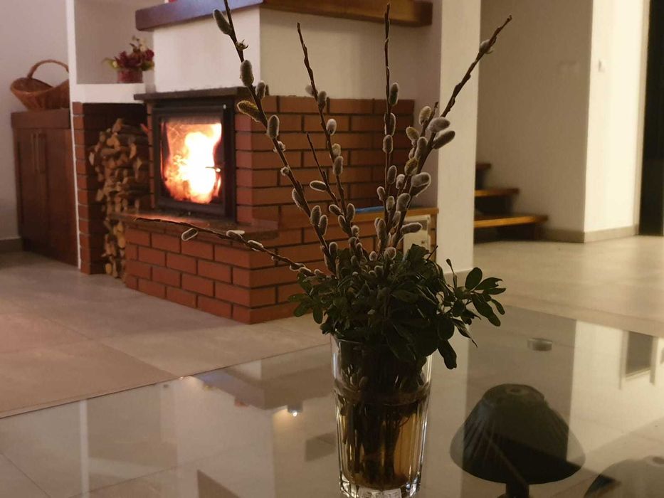 Zabłocie Sylwester! WOLNY