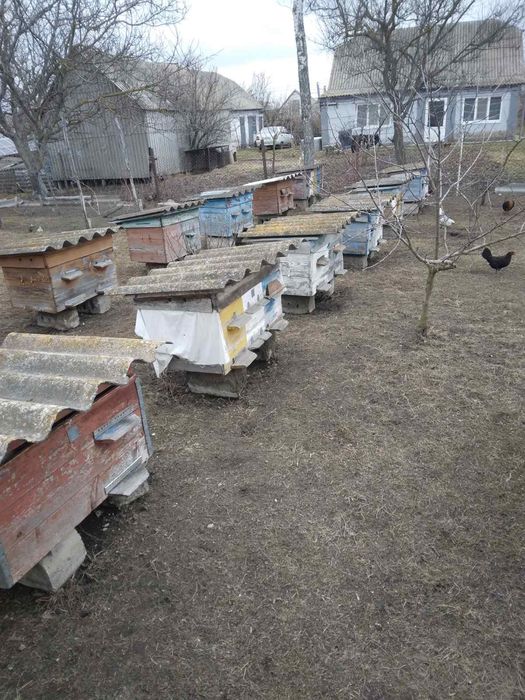 Продам Вулики для бджіл