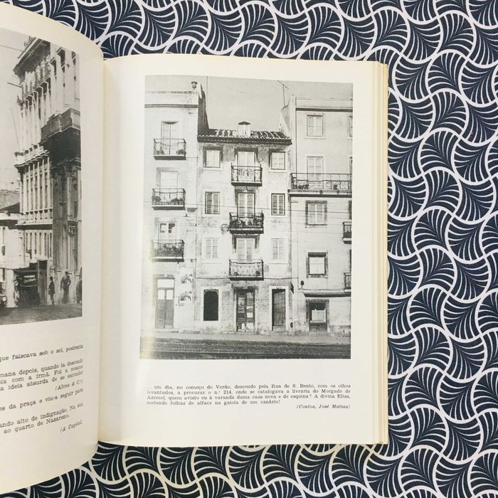 Imagens do Portugal Queirosiano - Campos Matos