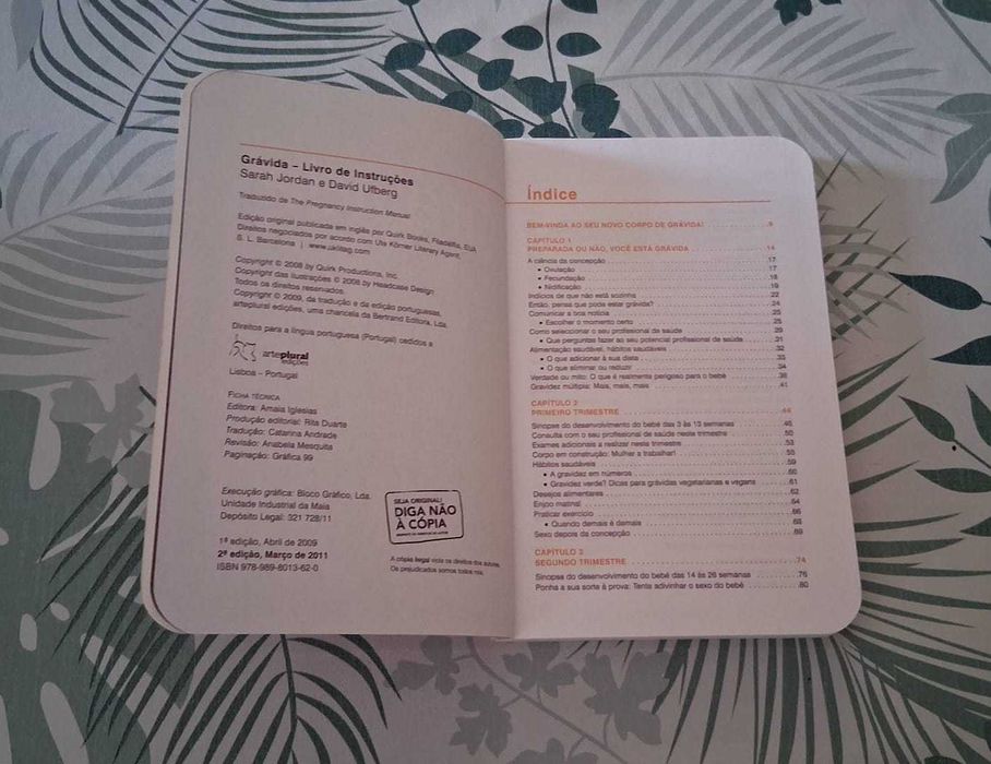 Livro "Grávida livro de instruções"