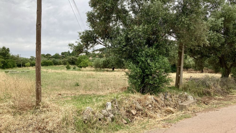 Terreno Rustico em São Brás Alportel