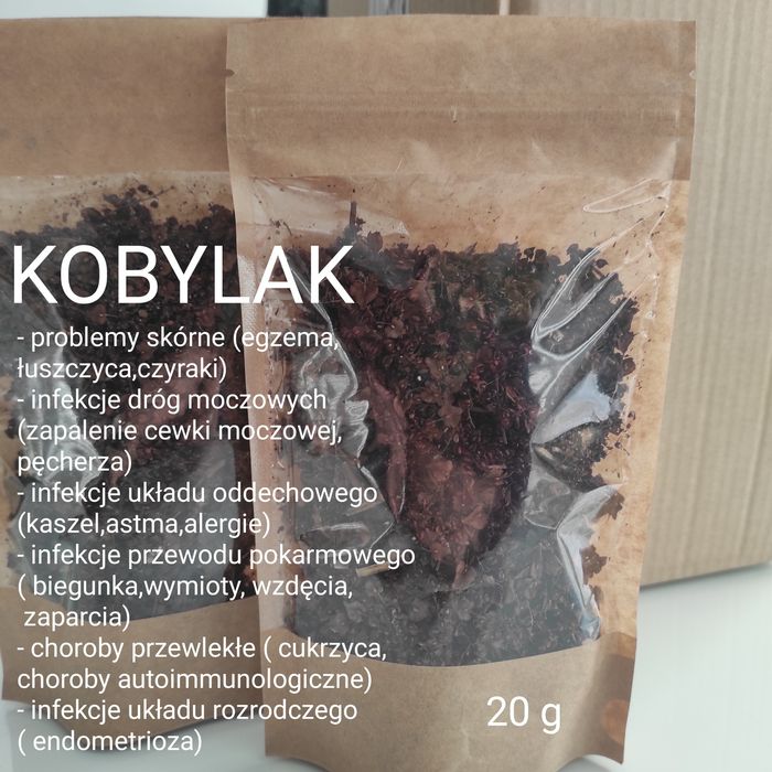 Kobylak ( Szczaw Kędzierzawy )20 g