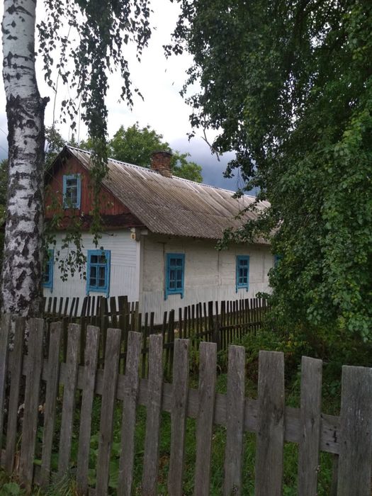 Будинок з ділянкою, хата