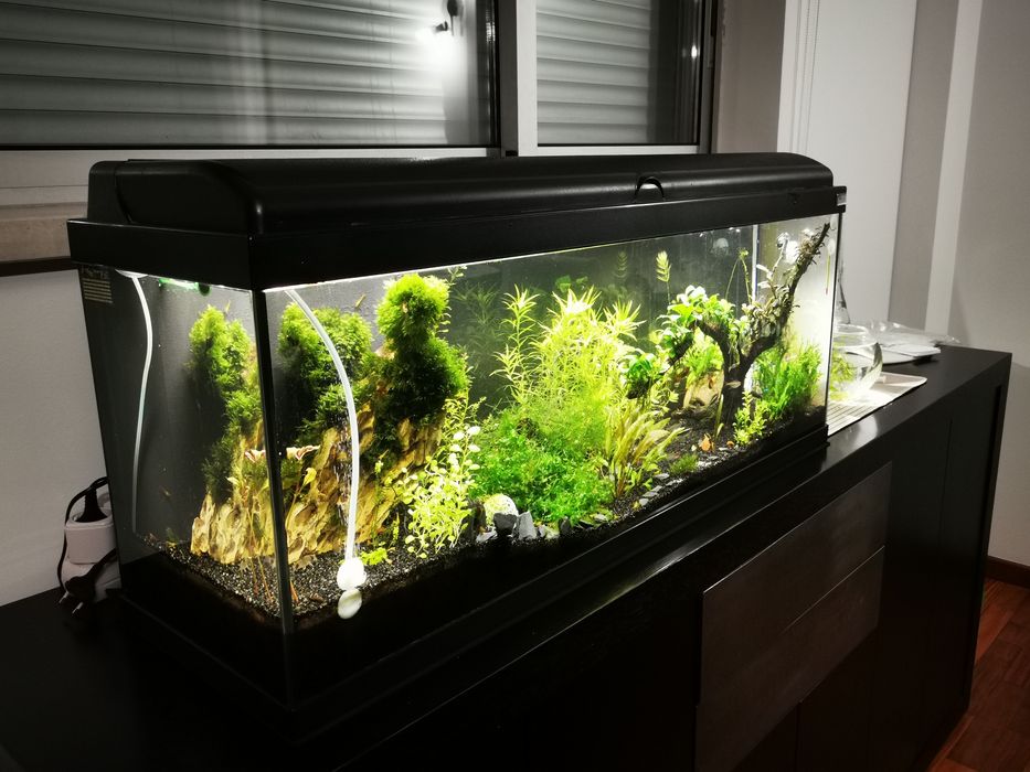 Aquário Aqualantis 120litros