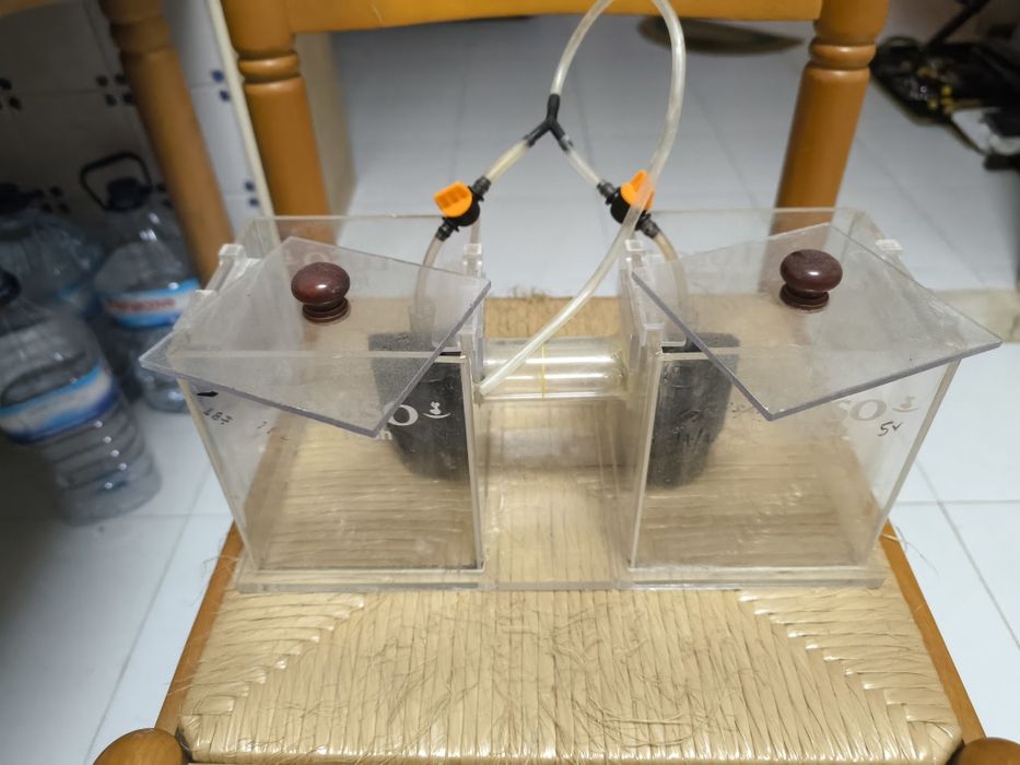 Aquário experimental, duplo com comunicação entre eles.