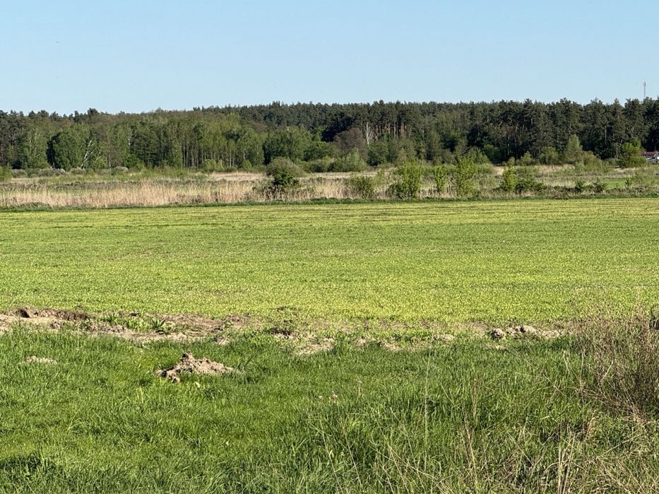 Новосілка Фасад 1.6Га Боярське ОТГ під забудову