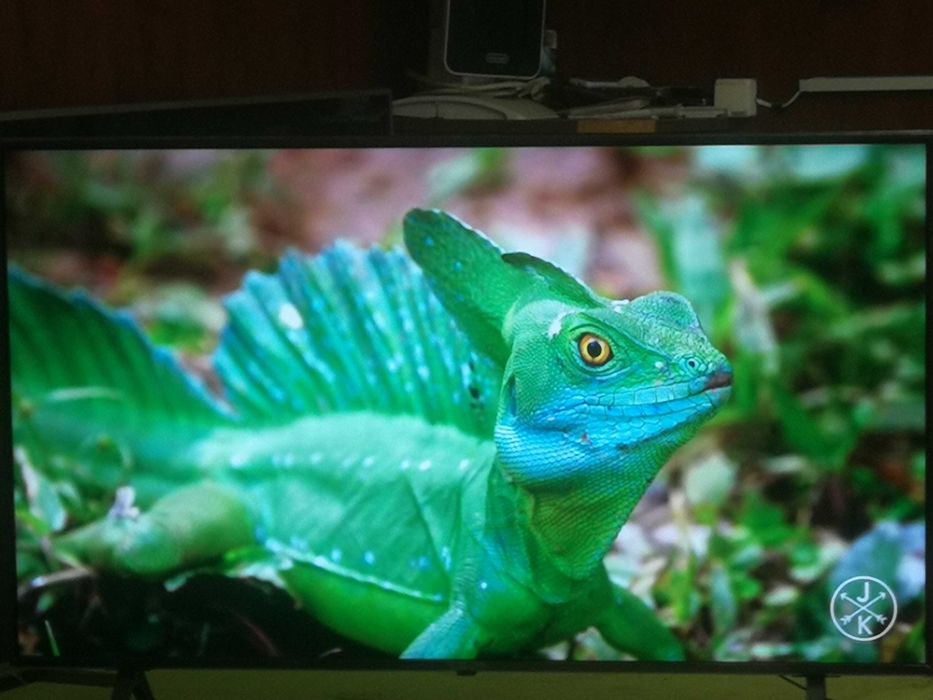 Telewizor LG  led 65 cali 4K UHD, system webos Smart TV, IDEAL