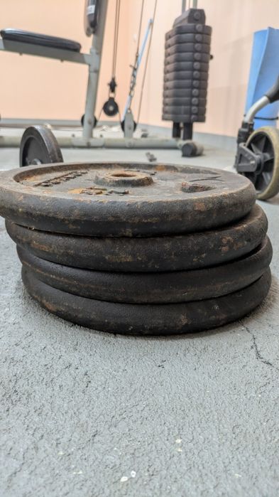 Discos 10/15 kg + Halteres