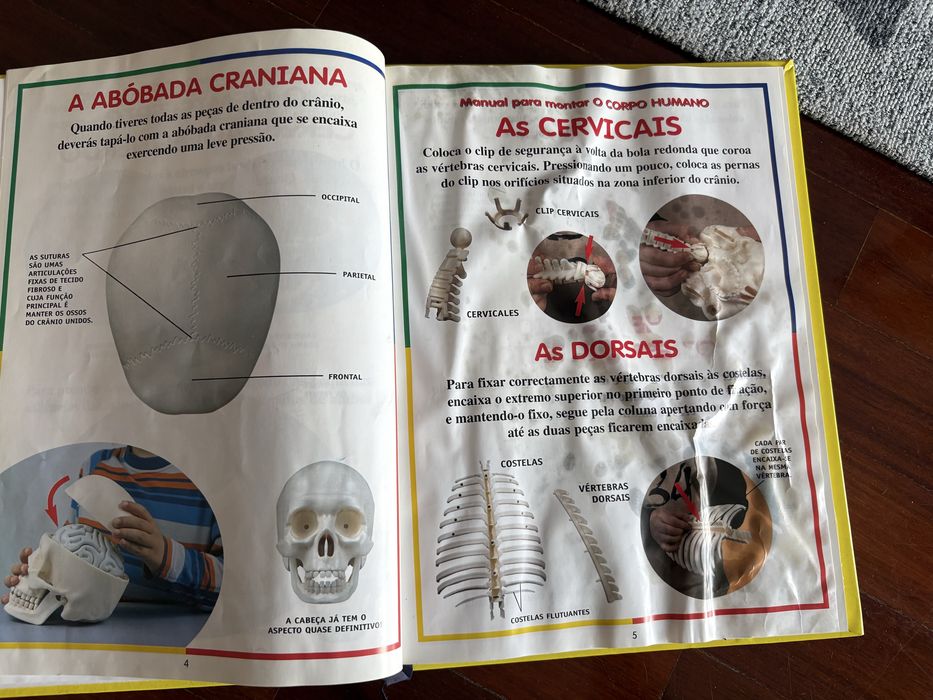 O Corpo Humano, volumes didaticos