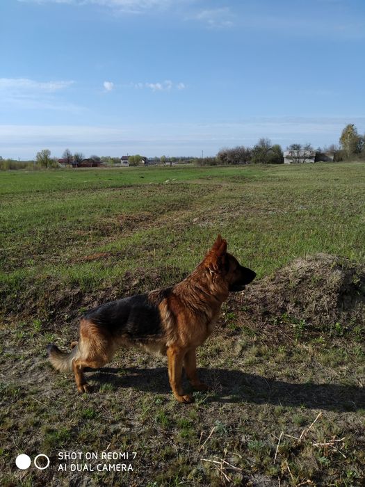 Предлагается Кабель н/о для Вязки