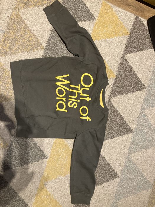 Dwie bluzy dzieciece rozmiar 104