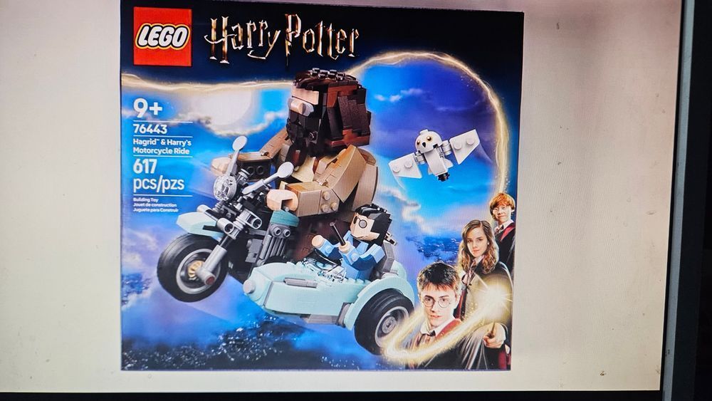 LEGO HARRY POTTER 76443 Przejażdżka motocyklowa
