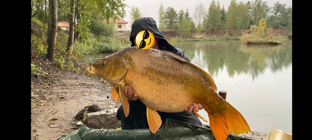 Domek i łowisko  do wynajęcia