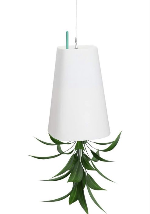 Bosske Sky Planter - 5 Vasos invertidos para pendurar no teto