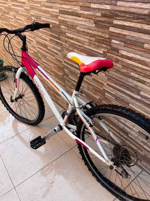 Bicicleta Criança Team 75 cm altura