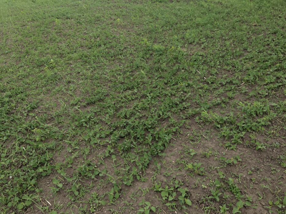 Продам участок в с.Германовка