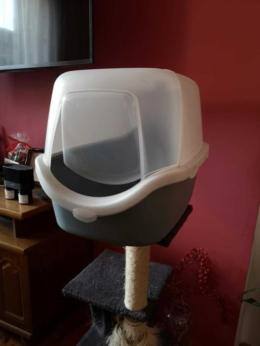 Kuweta kocia biało-szara