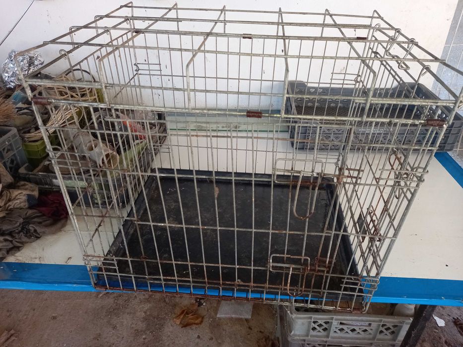 Caixa para transporte de animais