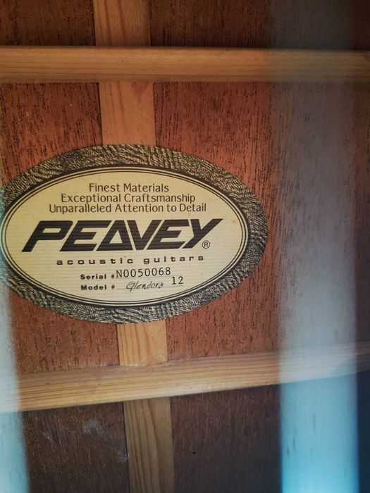 Guitarra acústica peavey