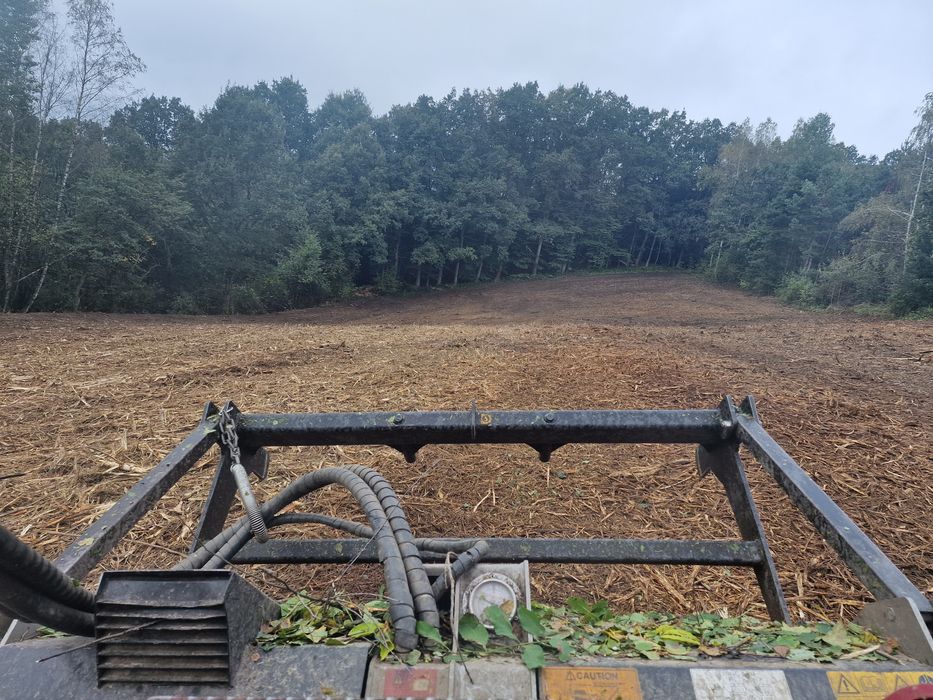 Wycinka zarośli krzaków karczowanie działek czyszczenie mulczer