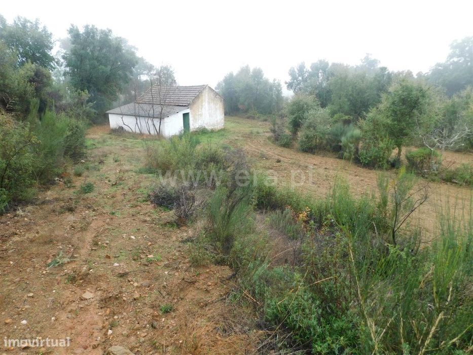 Terreno Rústico / Fundão, Vales Pêro Viseu