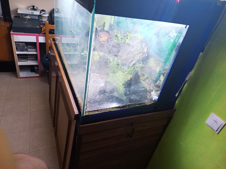Aquário de 600 Litros