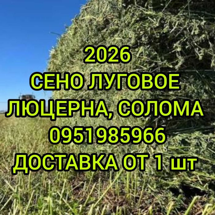 ‼️СІНО З ДОСТАВКОЮ от 1 шт, сено в тюках мешках (пырей). Большие объёмы. Отличное качество.