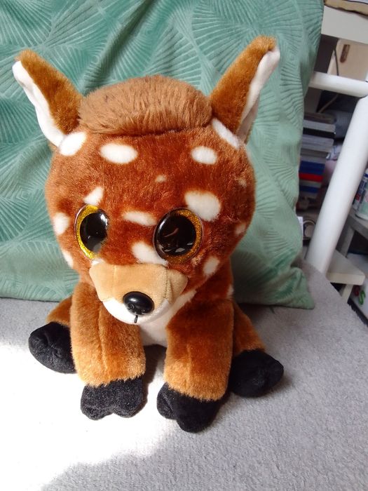 Zestaw ślicznych maskotek nowoczesnych akrylowe oczy pluszaki zabawki