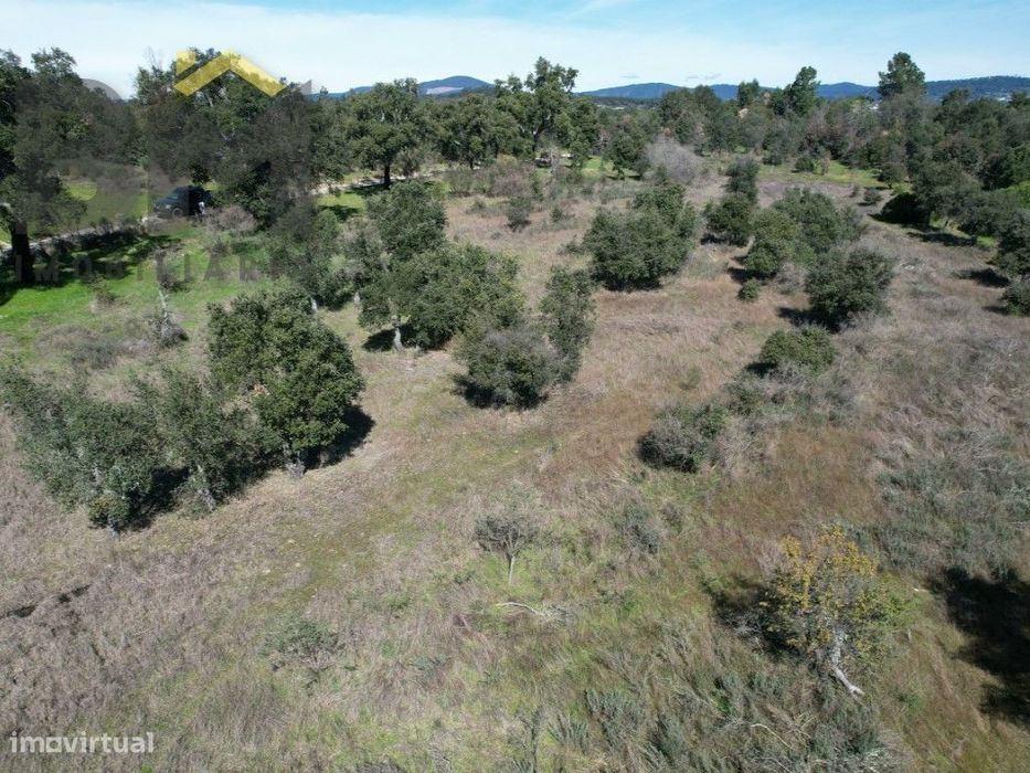 Terreno de 5,3 Hectares na Aldeia de Águas - Penamacor