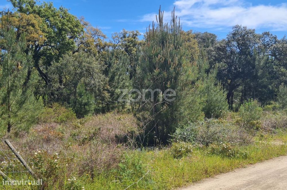 Terreno Monte do Lagarto | Lagoinha | Palmela — Palmela, Setúbal