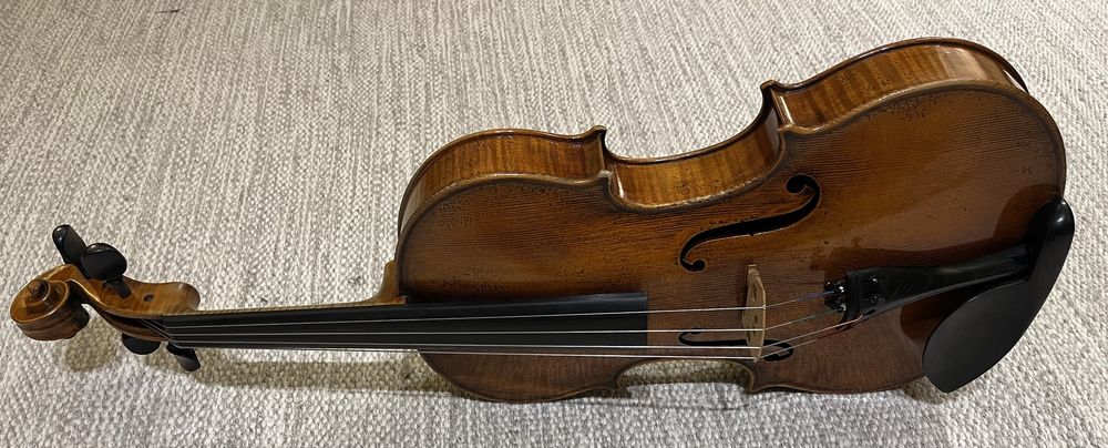 Viola Antonio Wang modelo Verona