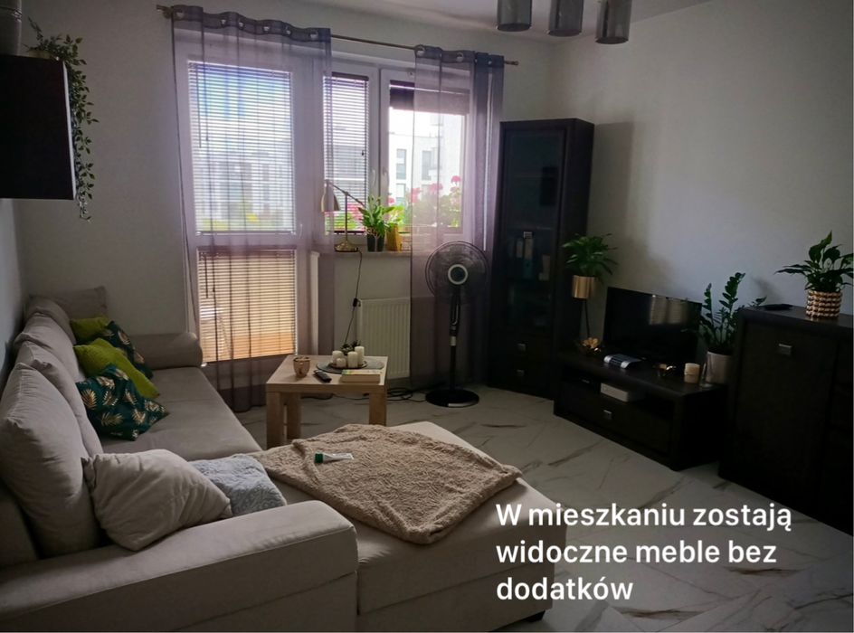 Zdjęcie 3