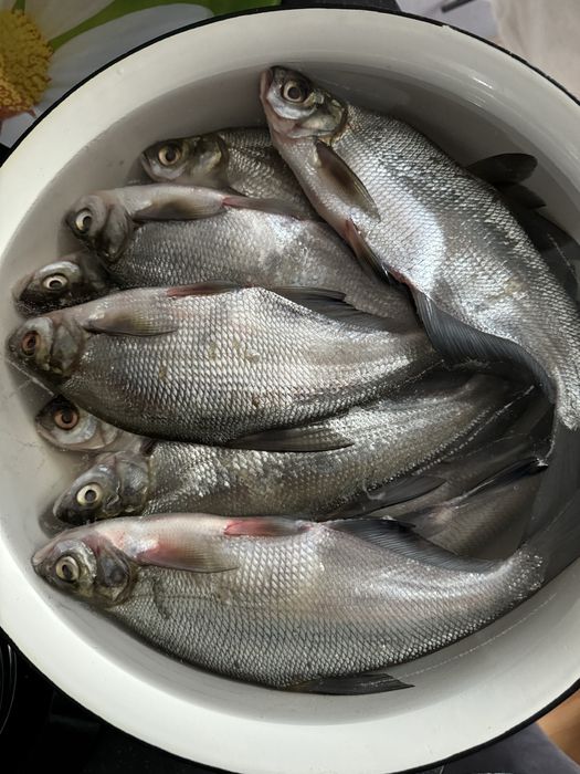 Синець Вʼялена риба Таранка