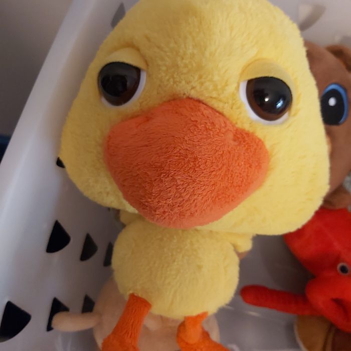 Peluches novos (chita/castor/pato)