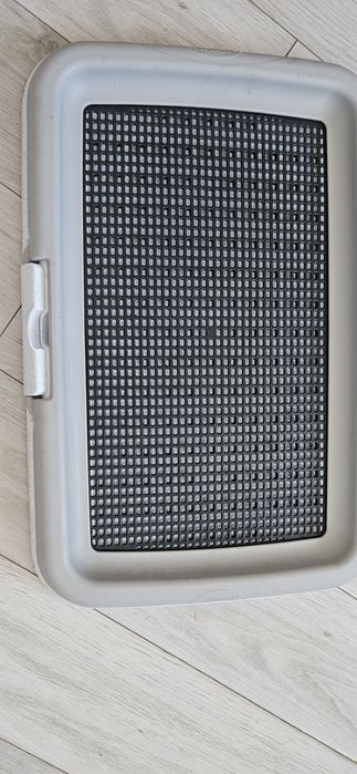 Toaleta dla psa , kuweta