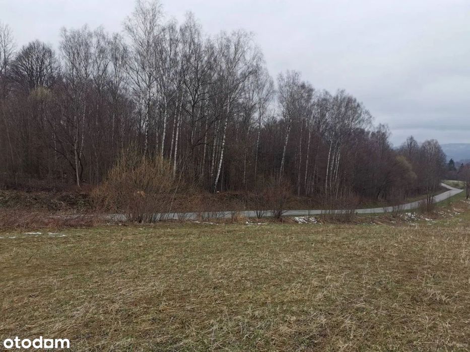 Bieszczady - Lesko, działka budowlana 2512m przy lesie i jeziorze