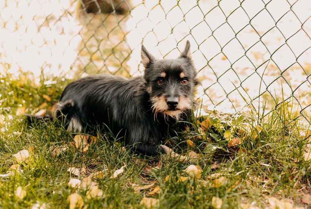 Miki potrzebuje rodziny, która zapewni mu bezpieczeństwo i zrozumienie
