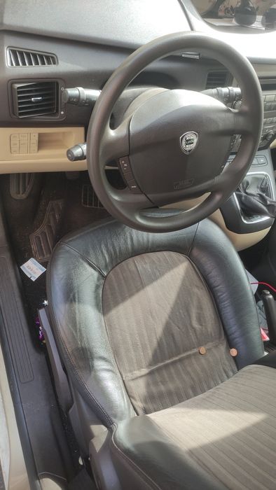 Lancia musa estimado