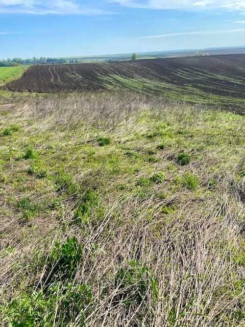 Продаж зем ділянки 15 сотих с.Байківці, під будівництво - Більше